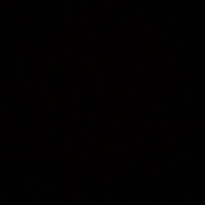 Meet your Posher, Chloe